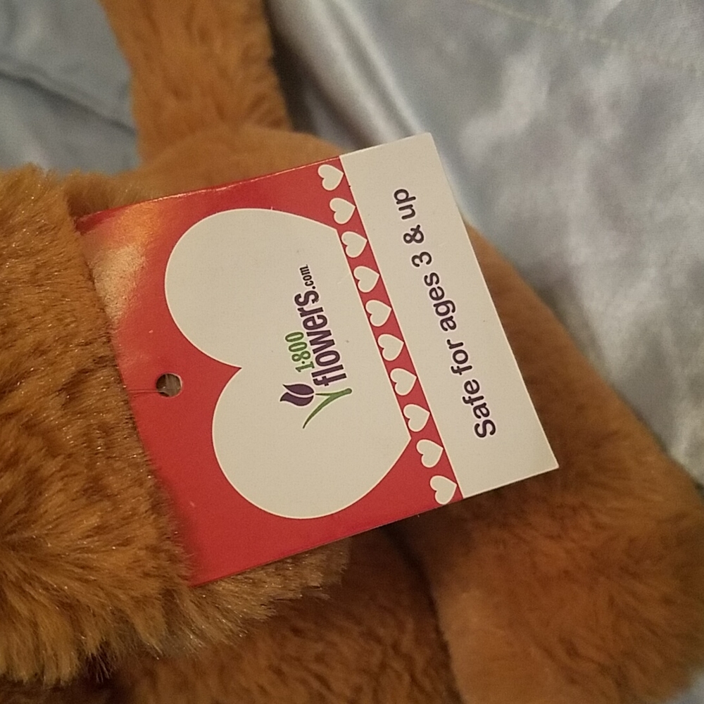 Puppy stuffed heart nose new with tag - Picture 5 of 5